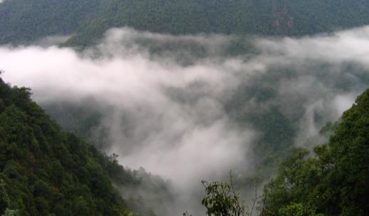 安遠(yuǎn)三百山什么時(shí)候開放 安遠(yuǎn)三百山開放時(shí)間