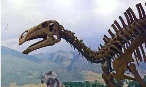 遼寧古生物博物館開館時間 遼寧古生物博物館什么時候開館