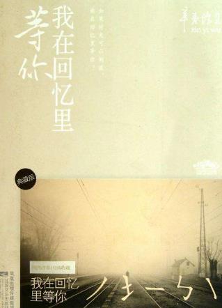 六本現(xiàn)代言情小說排行榜,《第三種愛情》第一,《翻譯官》必看