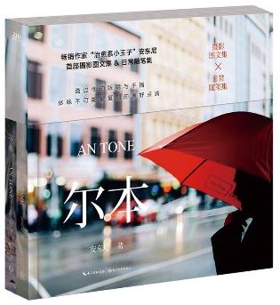 十本青春文學書籍排行榜,《匆匆那年》第一,《如果我能說了算》第二