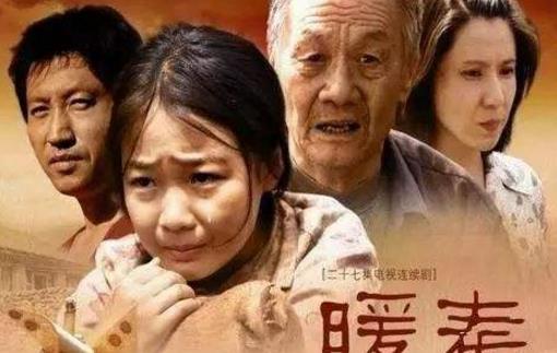 中國十大經典感人電視劇排名,《福貴》第一,《一把青》第二