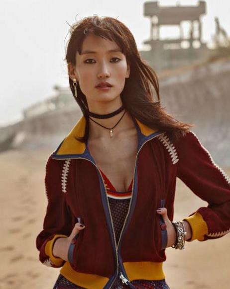 中國內地十大女超模排行榜,劉雯第一,何穗第二