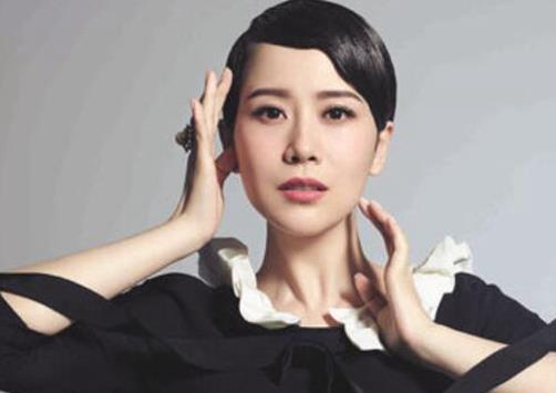 演技最好的女演員排名,鞏俐、孫儷都是實力派演員