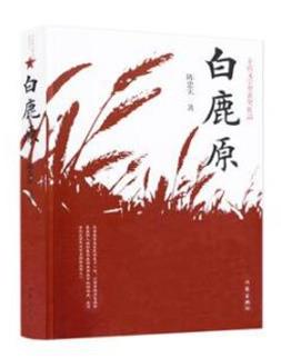 最值得看的十部小說(shuō)排名,《王小波全集》《白鹿原》很棒