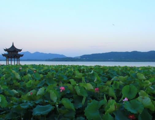 十大杭州旅游景點排名,西湖、靈隱寺吸引無數海內外游客