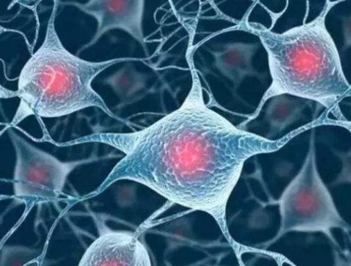 世界十大新科技排名,量子計(jì)算機(jī)、液體活檢都是高科技
