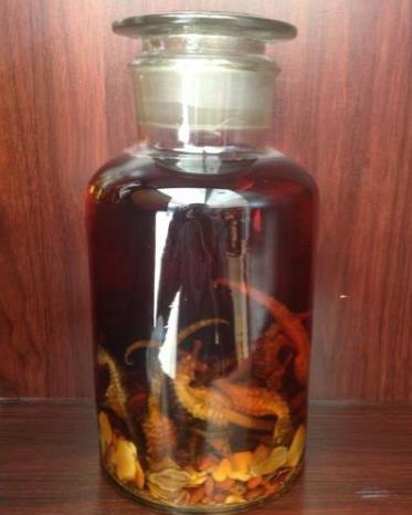十大補腎壯陽酒排名,鹿鞭酒用于腎虛,藏鷹酒溫補壯陽