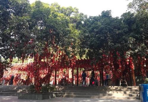 深圳7大香火旺盛的寺廟,羅湖區弘法寺自然風景優美,鳳巖古廟信徒多