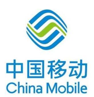 2019一帶一路中國(guó)企業(yè)排名,國(guó)家電網(wǎng)有限公司保障國(guó)家能源穩(wěn)定