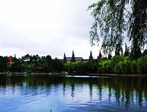 2019中國城市營商環境排名,上海硬環境指數高,北京金融環境好