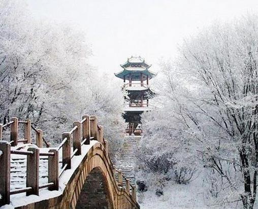 齊齊哈爾十大景點,扎龍自然保護區是世界最大蘆葦濕地、丹頂鶴故鄉
