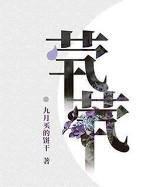 十大好看的耽美小說排名,《魔道祖師》的魏無羨和藍(lán)湛的CP太完美