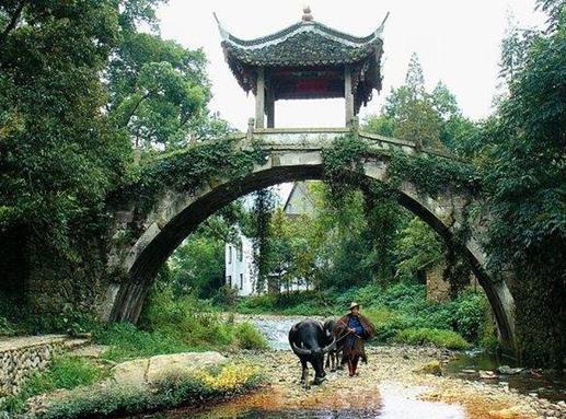 武義十大景點排名,郭洞景區(qū)稱江南第一風水村,大萊梯田壯美
