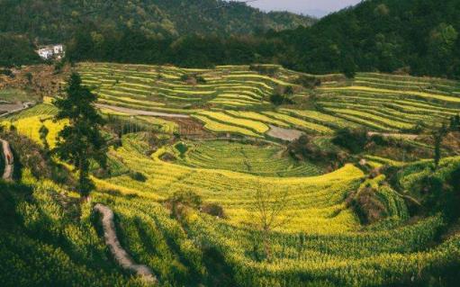 吉安十大景點(diǎn)排行榜,吉州窯景區(qū)風(fēng)景優(yōu)美,青原山景色秀麗