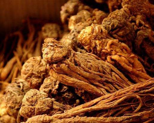 十大活血化瘀的食物排名,紅花能疏通經絡,當歸緩解月經不調