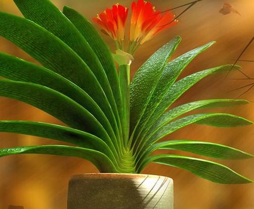 十大最耐寒的花卉排名,臘梅耐寒性極強(qiáng),山茶花在冬季開放