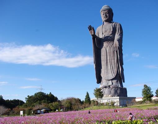 世界十大最高雕像排名,印度統一女神像、中國泉寺大佛吸引游客