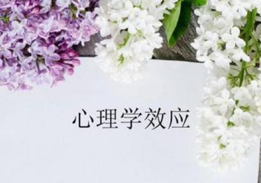 十大最合適女生報(bào)考的專(zhuān)業(yè),學(xué)前教育、小語(yǔ)種都是很好的專(zhuān)業(yè)