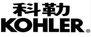 2020十大受歡迎馬桶品牌,朝陽馬桶、杜菲尼馬桶很不錯