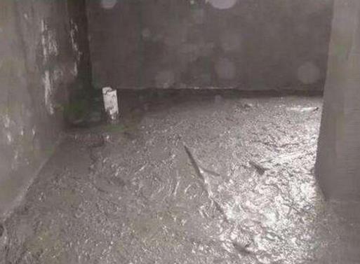 2020年十大知名防水涂料品牌,雨虹防水涂料、滴盾國標防水產品優(yōu)異