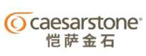 國內(nèi)十大一線石英石品牌,中迅石英石、杜邦石英石很不錯