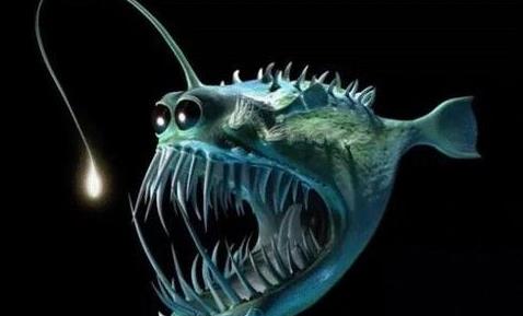 世界十大最丑海洋生物,儒艮、雪茄達摩鯊長相奇特