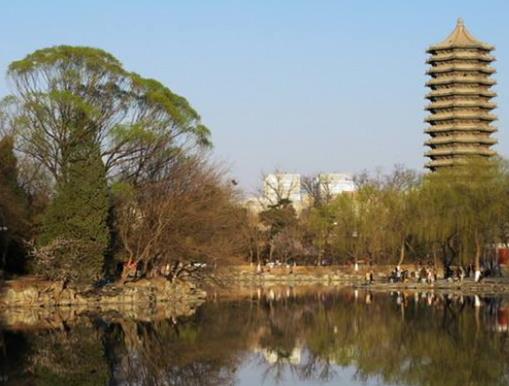 全國高校三大獎實力排名,浙江大學被稱贊為“東方的劍橋大學”