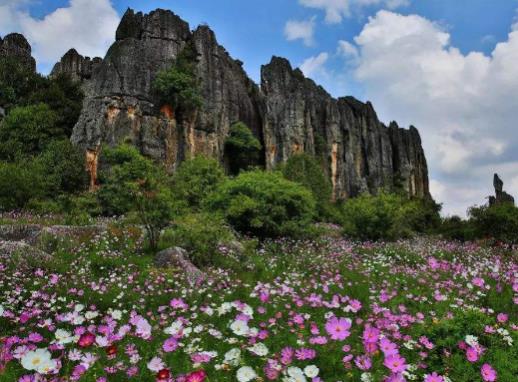云南十大著名景點,石林風景名勝區、宣威東山公園民族文化有特色