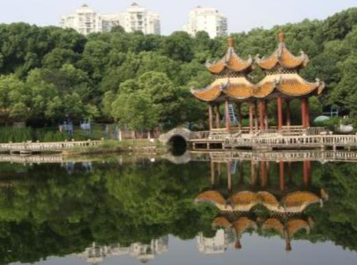 云南十大著名景點,石林風景名勝區、宣威東山公園民族文化有特色