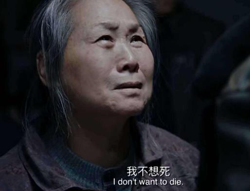 6部令人驚喜的國產(chǎn)電影排名,戰(zhàn)狼系列很好看,流浪地球非常棒