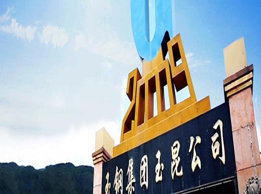 2020年云南省制造業(yè)民營企業(yè)排名,華澤集團有限公司營業(yè)收入很可觀
