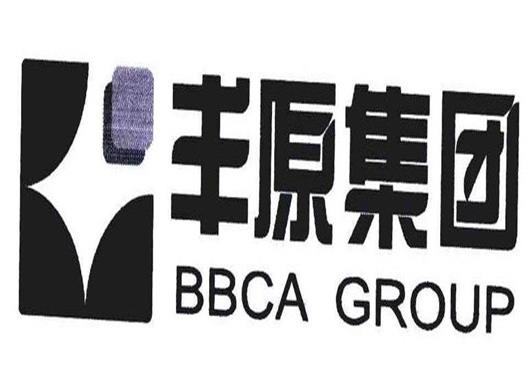 2020年安徽制造業民營企業,山鷹國際控股股份公司專注紙制品業