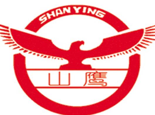 2020年安徽制造業民營企業,山鷹國際控股股份公司專注紙制品業