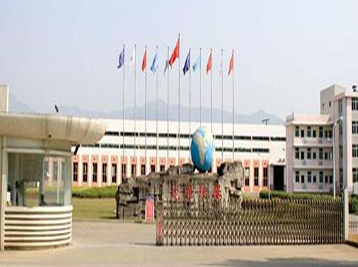 2020年福建民營(yíng)企業(yè)500強(qiáng)名單,陽光龍凈集團(tuán)有限公司經(jīng)營(yíng)涵蓋金融、教育