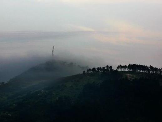 連云港十大風景區(qū)排行榜,潮河灣、花果山風景區(qū)是網(wǎng)紅打卡點