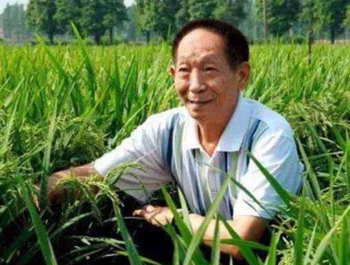 中國五位頂尖的科學家,錢學森是中國導彈之父、李四光貢獻極大