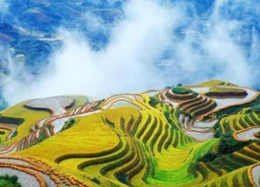 2021年廣西十大美景排行榜,桂林漓江景區、三娘灣旅游景區人氣高