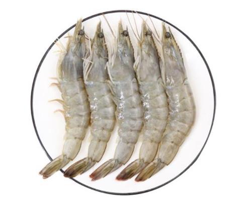 廣東十大河鮮排行榜,鮑魚蛋白質(zhì)含量高、象拔蚌肉質(zhì)鮮美
