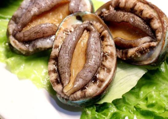 廣東十大河鮮排行榜,鮑魚蛋白質(zhì)含量高、象拔蚌肉質(zhì)鮮美