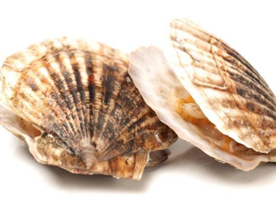 廣東十大河鮮排行榜,鮑魚蛋白質(zhì)含量高、象拔蚌肉質(zhì)鮮美