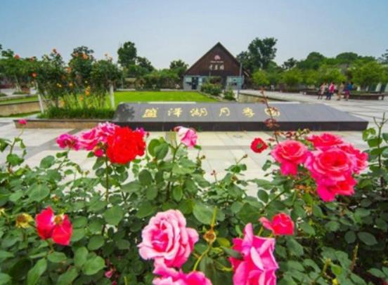 蘇州十大主題公園排行榜,蘇州樂(lè)園森林世界、蘇州海洋館讓你享受快樂(lè)