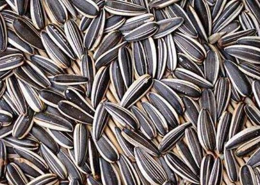 世界十大堅果排行,夏威夷果能預防癌癥、腰果含維生素豐富