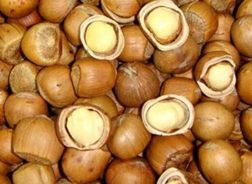 世界十大堅果排行,夏威夷果能預防癌癥、腰果含維生素豐富