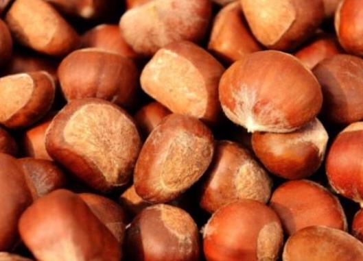 世界十大堅果排行,夏威夷果能預防癌癥、腰果含維生素豐富