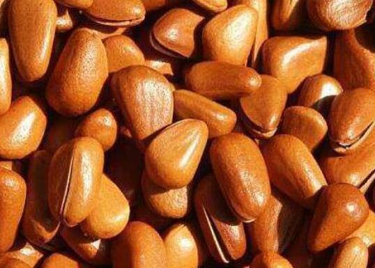 世界十大堅果排行,夏威夷果能預防癌癥、腰果含維生素豐富