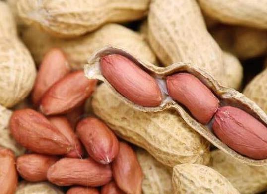 世界十大堅果排行,夏威夷果能預防癌癥、腰果含維生素豐富