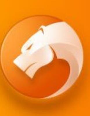 電腦常用十大瀏覽器,谷歌瀏覽器加載速度快、360安全瀏覽器功能多