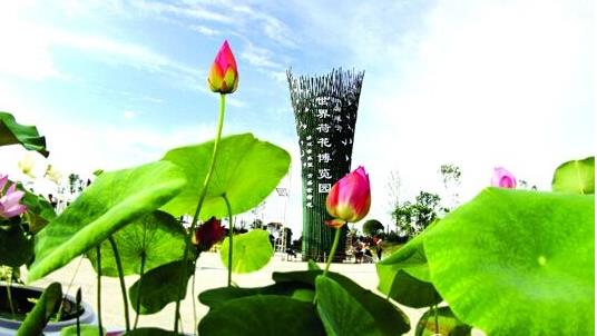 江西省萍鄉市十大旅游景點排行榜 萍鄉有什么好玩的地方