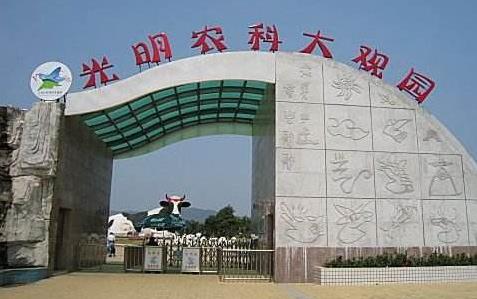 廣東省深圳市十大旅游景點排行榜 深圳有什么好玩的地方