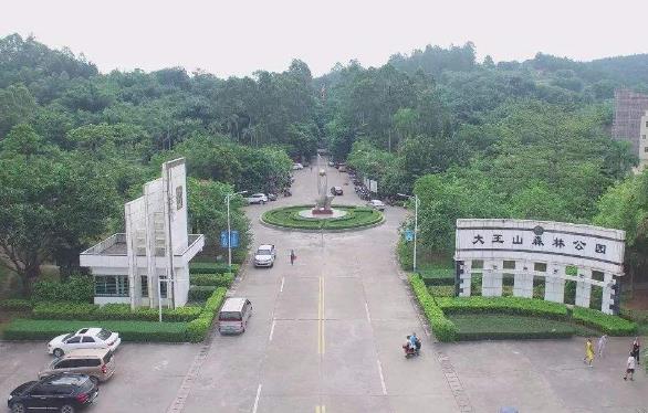 廣東省云浮市十大旅游景點排行榜 云浮有什么好玩的地方